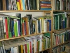 Bücherregal